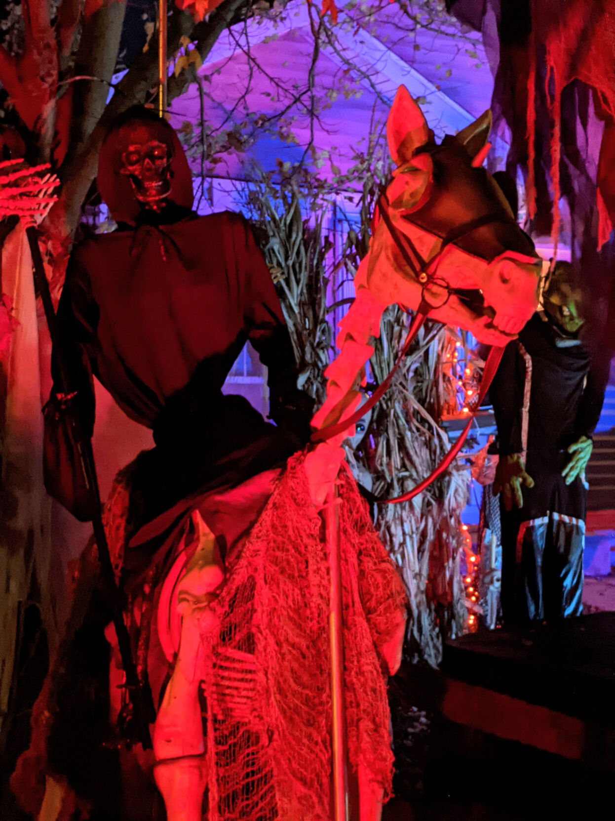 Halloween house horse 7405 31st Avenue.jpg